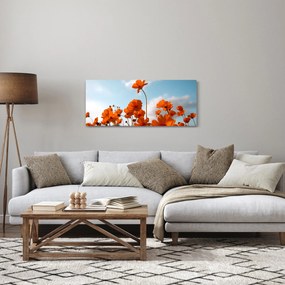 Kép - Réti virágok (120x50 cm)