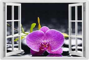 Poszter 60x40 Lila orchidea