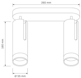Spotlámpa FADO 2xGU10/10W/230V fehér