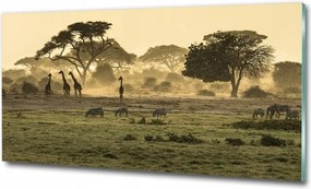 Fotó üvegkép Vízesés az erdőben 100x70