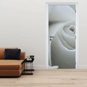 Fotótapéta ajtóra - Fehér rózsa (95x205cm)