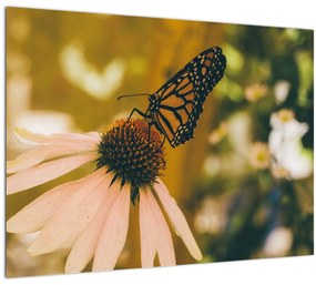 Pillangó képe a virágon (üvegen) (70x50 cm)