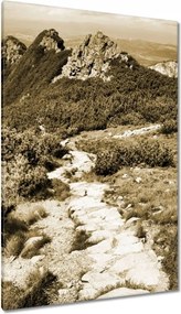 Vászonkép 80x120 Tátra Lengyel hegyek Kilátás