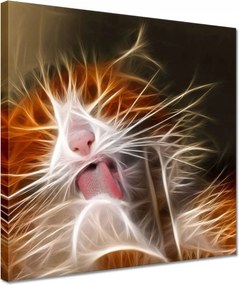 Vászonkép 30x30 Fraktál cica