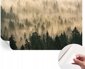 Fotótapéta Dekoratív Fali Tapéta Képekkel Erdei köd 416x254