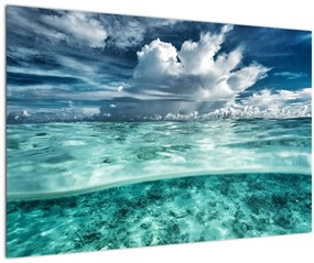 Kép - Kilátás a tengerszint alá (90x60 cm)