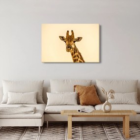 Egy zsiráf képe (90x60 cm)