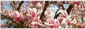 Poszterek 200x66 Magnólia Virágok Kék