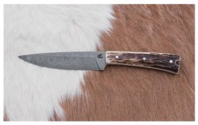 Vadász dispatch kés 12 cm szarvas agancs