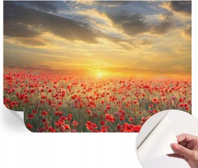 Dekoratív öntapadós fotótapéta Hálószobába pipacs mező 208x146 cm