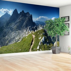 Fotótapéta Alpok Szlovénia 104x70 cm
