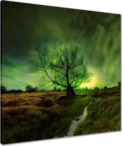 Vászonkép 60x60 Rogalin