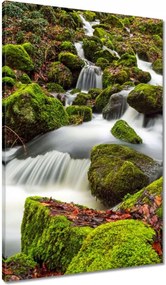 Vászonkép 60x90 Hegyi tájkép patakkal Patak a hegyekben