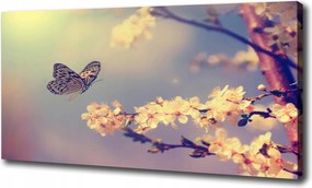 Vászonkép Cseresznyevirág és pillangó 120x60cm