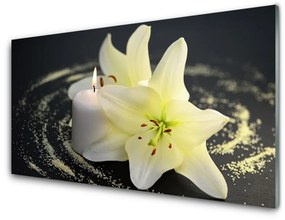 Akrilkép Természet virág növény 100x50 cm