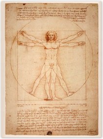 Poszterek 100x135 A vitruviusi ember