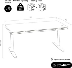 Elektromos ülő-álló íróasztal fiókkal és Qi vezeték nélküli töltővel fekete/dió, 1600 mm: ELLIS