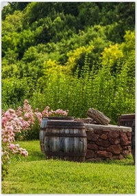 Poszterek 70x100 Csodálatos kert