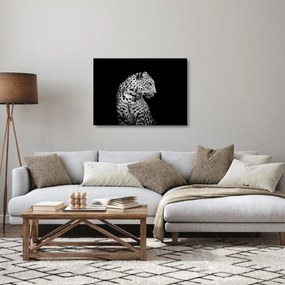Üveg kép - Leopárd (70x50 cm)