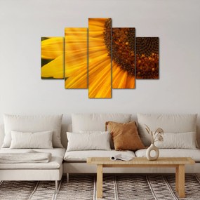 Kép - Napraforgók (150x105 cm)