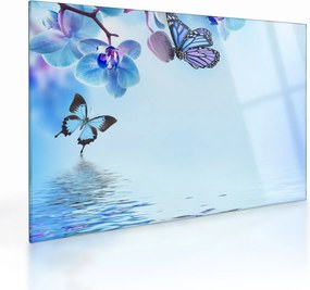 Üveg kép - Pillangó orchidea virágon, kék (70x50 cm)