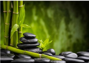 Fotótapéta spa fotótapéta bambusz kő 208 x 146
