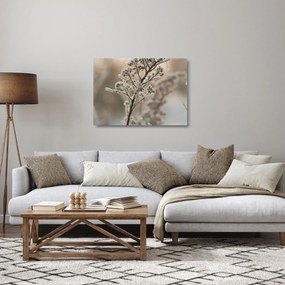 Üveg kép - Növény fagyban (70x50 cm)