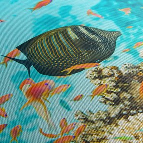 A víz alatti világ képe (120x50 cm)