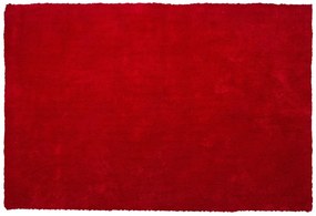 Piros hosszú szálú szőnyeg 200 x 300 cm DEMRE Beliani