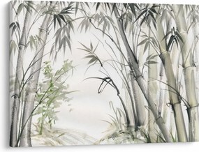 Kép  Bambusz, rajz (70x50 cm)