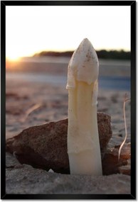 Poszterek keretben 40x60 Első spárga