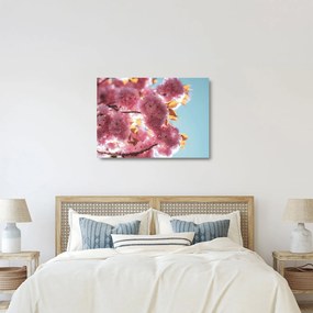 Üveg kép - Cseresznyevirág (70x50 cm)