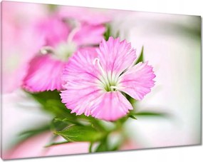 Vászonkép 100x70 Virágok