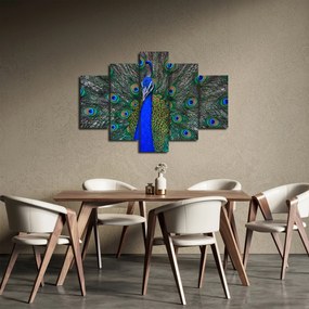 Kép - Páva (150x105 cm)