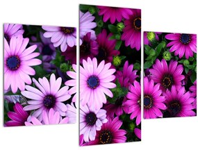 Kép - Virágok (90x60 cm)