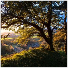 Poszterek 140x140 Kilátás a völgyre