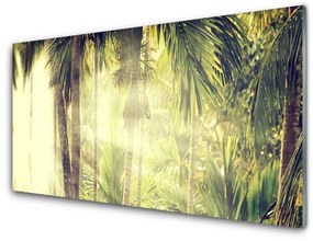 Üvegfotó Palm Tree Forest Nature 120x60cm