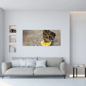 Pillangó képe (120x50 cm)