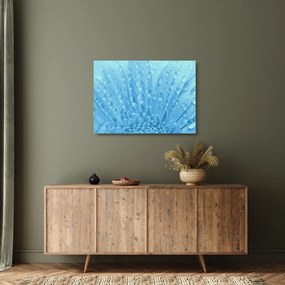 Üveg kép - Makro felvétel egy virágról (70x50 cm)