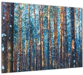 Kép - téli erdő (üvegen) (70x50 cm)