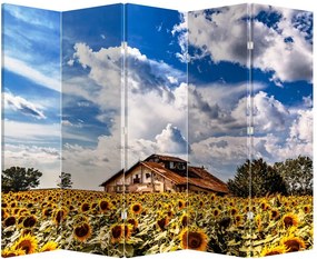Paraván - Napraforgó mező (210x170 cm)