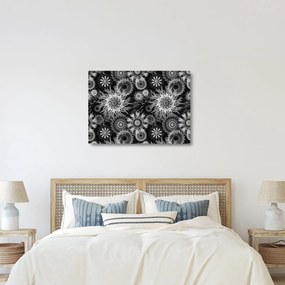 Üveg kép - Fekete és fehér gyűszűvirág (70x50 cm)