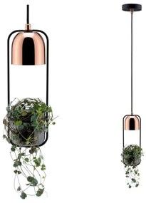 Paulmann 79749 - 1xGU10/20W Csillár zsinóron FANJA 230V