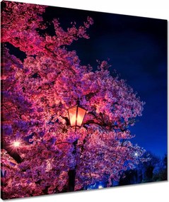 Vászonkép 60x60 Hálószoba motívum Lámpa