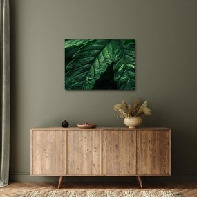 Kép - A lap részletei (70x50 cm)