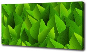 Vászonkép nyomtatás Zöld levelek oc-90288454