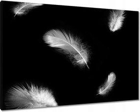 Vászonkép 100x70 Finom toll doboz