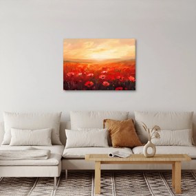 Kép - Mező pipacsok (70x50 cm)