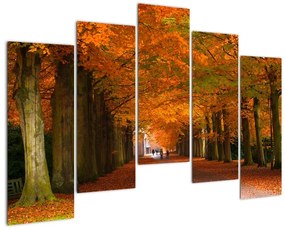 Kép - utazás, keresztül, erdő, ősszel (125x90cm)