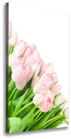 Vászonkép nyomtatás Rózsaszín tulipánok ocv-22467427